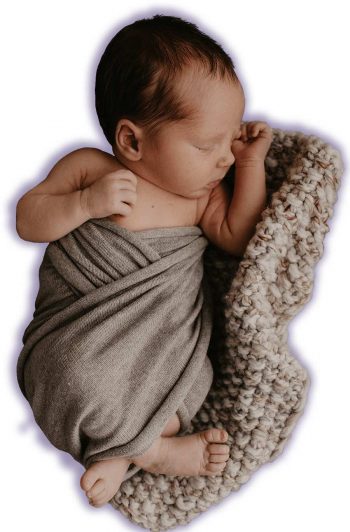 Bimbo-wrapped-ICMI